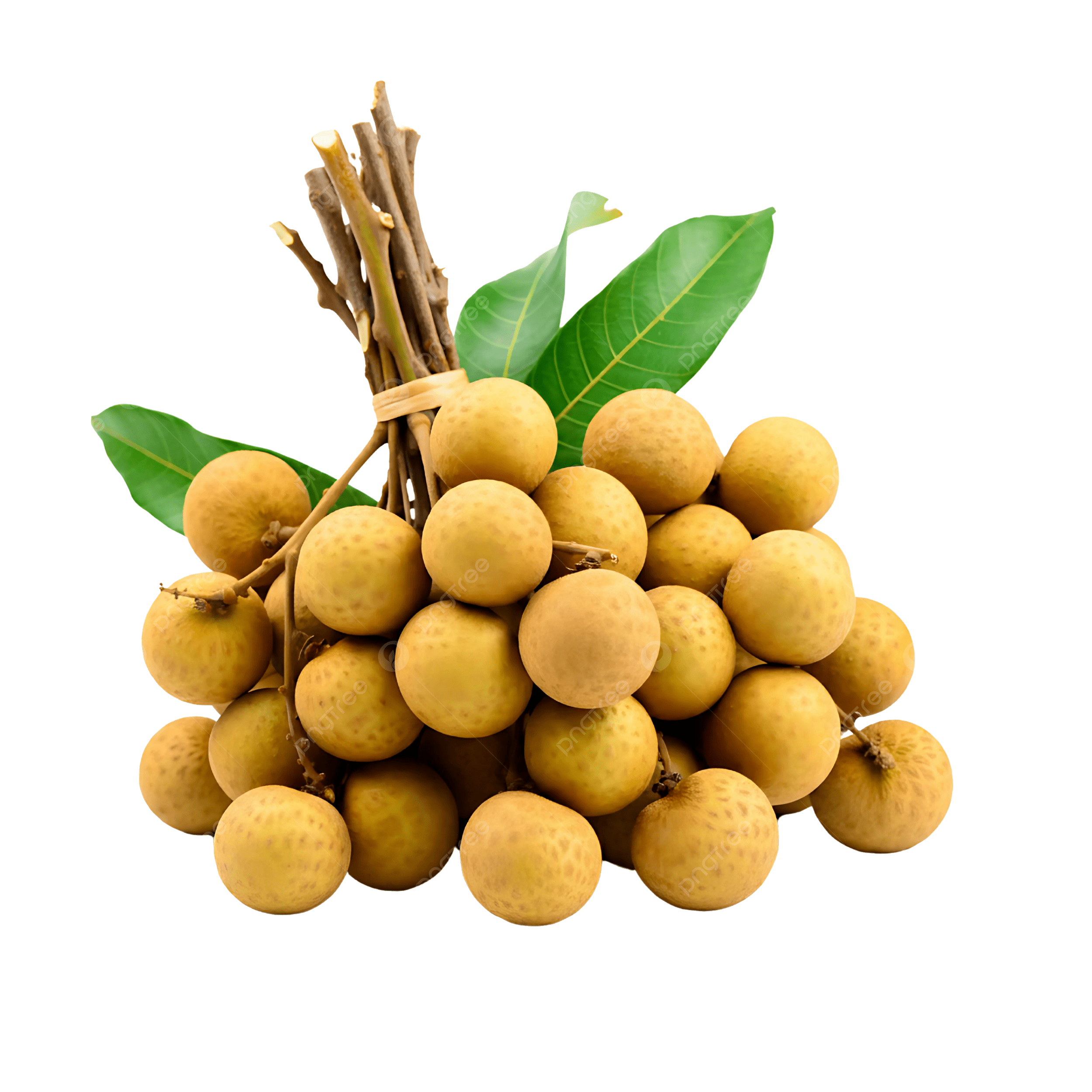 Fresh Longan -  /user-content/1fb9056b-a221-4d57-83bc-ff073aaa17a3.png