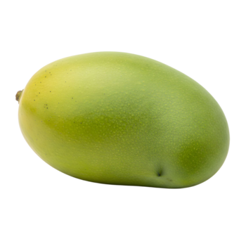 Fresh Mango -  /user-content/98f33f49-d5c1-4513-81f4-53a5b4594e4d.png