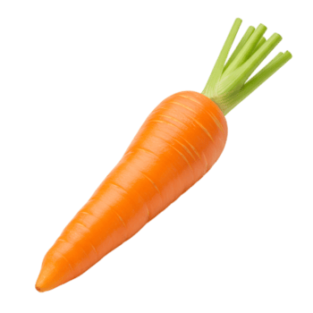 Carrot -  /user-content/ec61e669-9684-4f9f-a6f1-c1e1921e0d0c.png