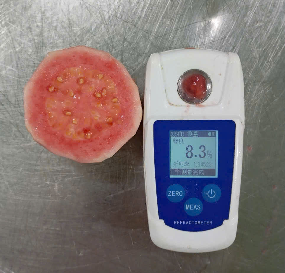 produits - /user-content/fc93126c-5084-4c48-a1ea-61e79c6b310c.jpg