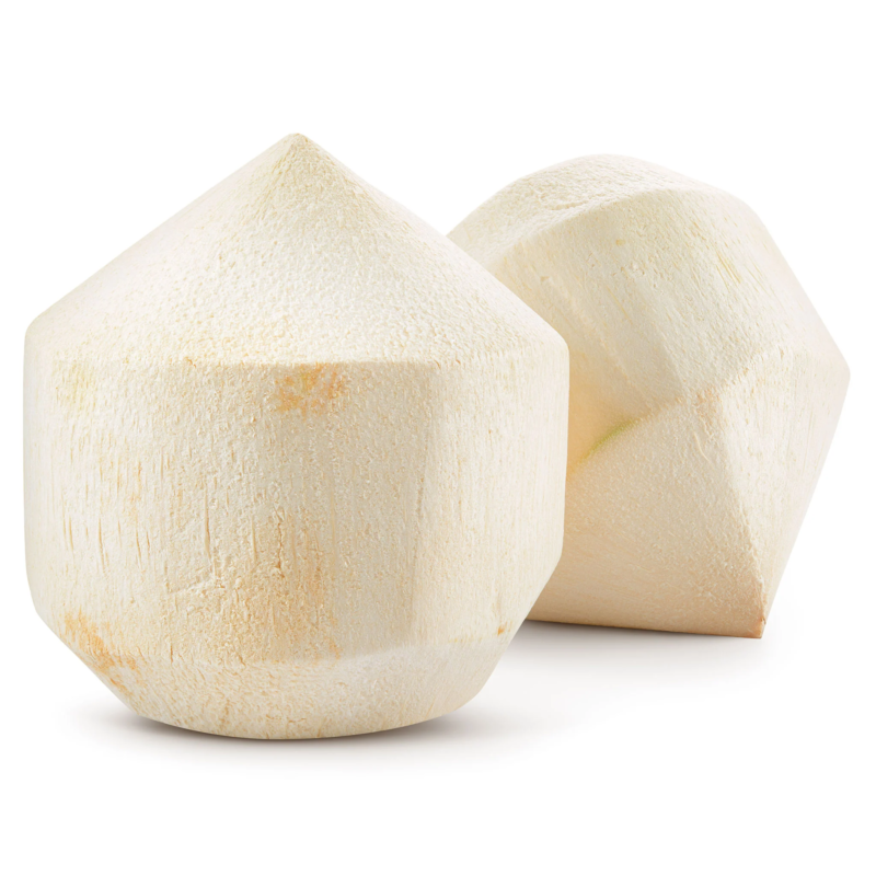 Coconut -  /user-content/fd5209da-a60c-4fd7-9d38-96554c4a9718.png